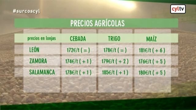Surcos - Cultivo de trigo fuerza, sector lácteo, cultivo de espelta смотреть онлайн