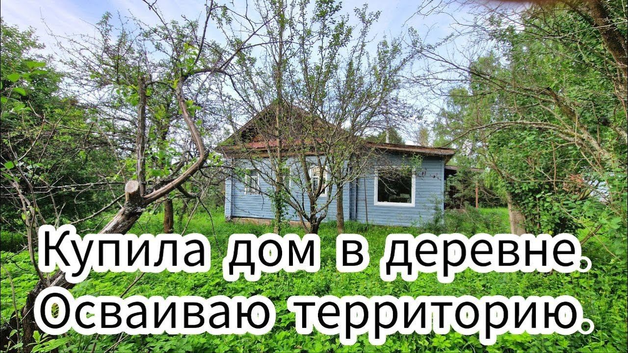 Купила дом в деревне. Осваиваю территорию. смотреть онлайн