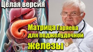 Матрица Гаряева для поджелудочной железы.Уникальная методика волновой генетики#эхотибета