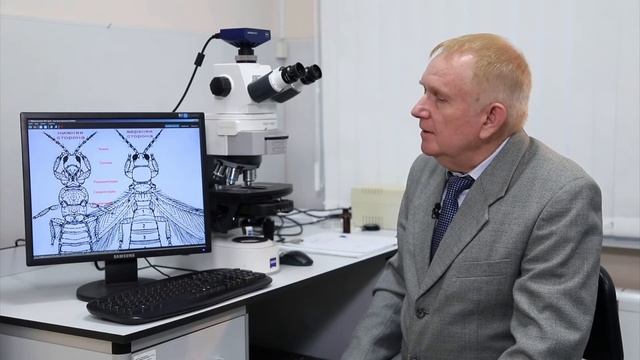 Трипс на клубнике и как с ним бороться смотреть онлайн