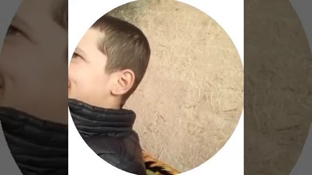 BU BOLA NIMA DEYAPTI QIZLARDI AMIDI 40 MINGA YALEMAN ERKELARDI 80 MINGA DEYPATI MI смотреть онлайн