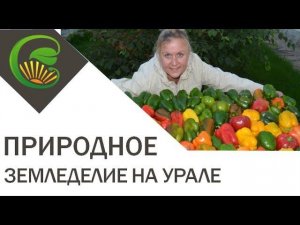 природное земледелие на урале