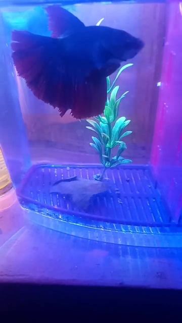 23 April 2023 смотреть онлайн