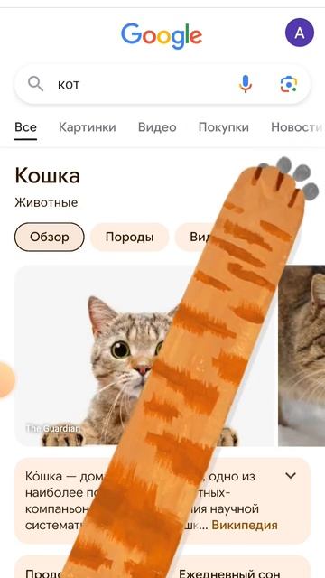 проверка на 100% смотреть онлайн