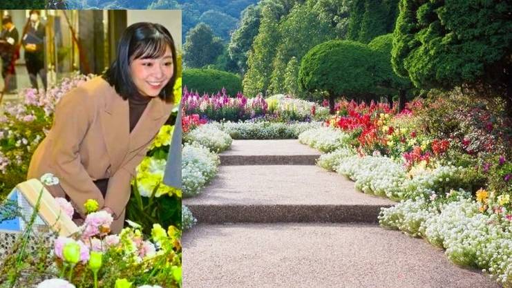 HIH Princess Kako 11 Feb 2025 佳子内親王殿下