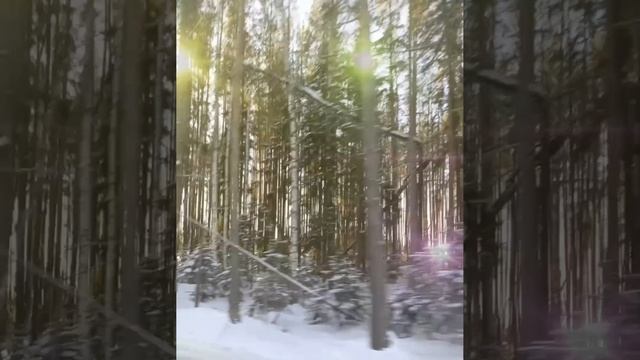 Природа Урала. смотреть онлайн