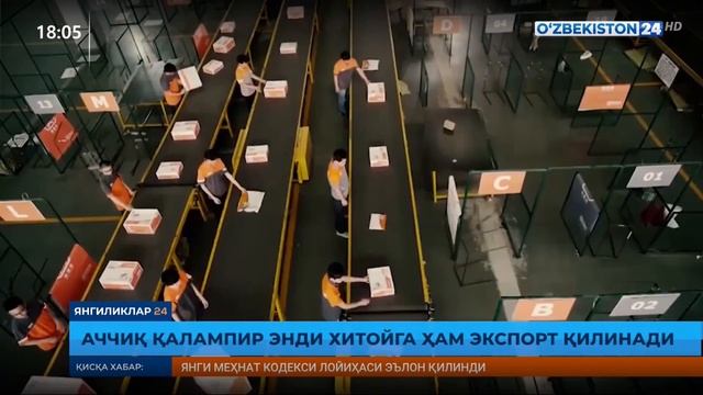 Аччиқ қалампир энди Хитойга ҳам экспорт қилинади смотреть онлайн