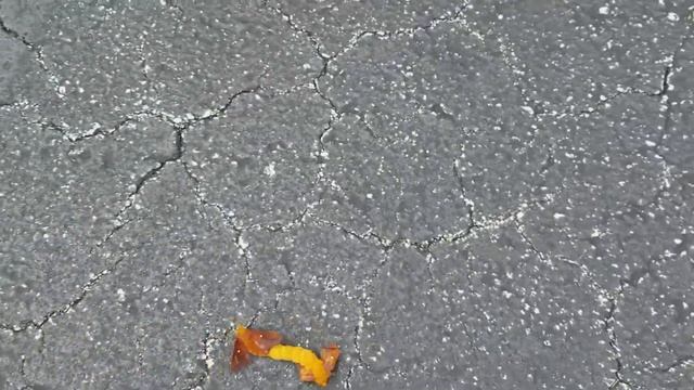 Mating Moths смотреть онлайн