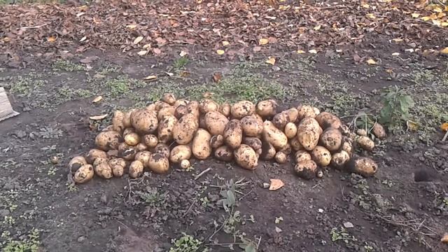 20191029 112230 смотреть онлайн