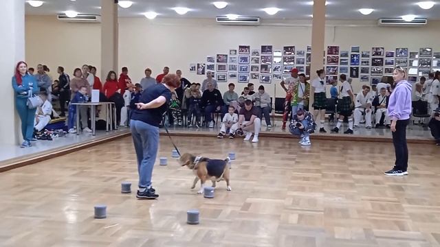 Кинологический клуб Беркут смотреть онлайн