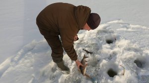 Рыбалка на Печоре \ Дальний поход в коми деревню \ Часть 2