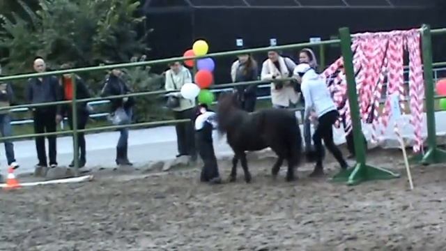 Курсинг "Маршрут доверия" Варнавская Настя и Маги смотреть онлайн