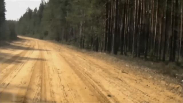 Встреча в лесу с глухарками и зайцем... смотреть онлайн