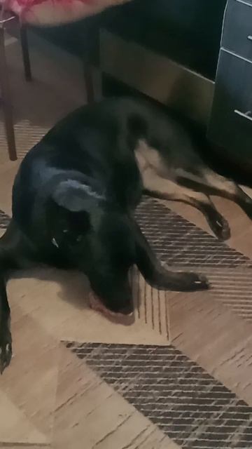 Косточку ее спеша грызу... ;-)