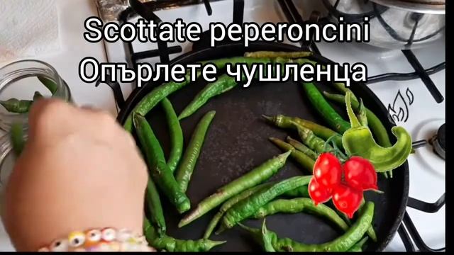 Peperoncini verdi con sugo/Чушленца с доматен сос #туршия #консервація #консерви #чушлета смотреть онлайн