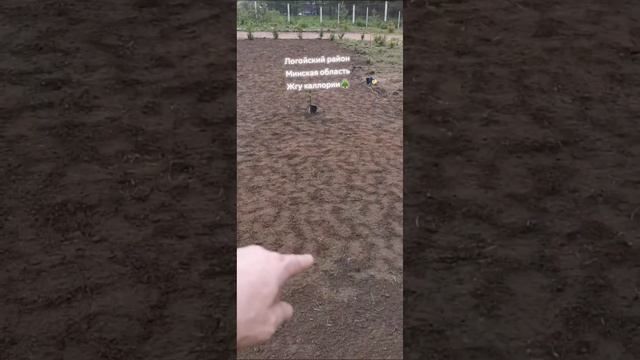 10 мая 2024 г. смотреть онлайн