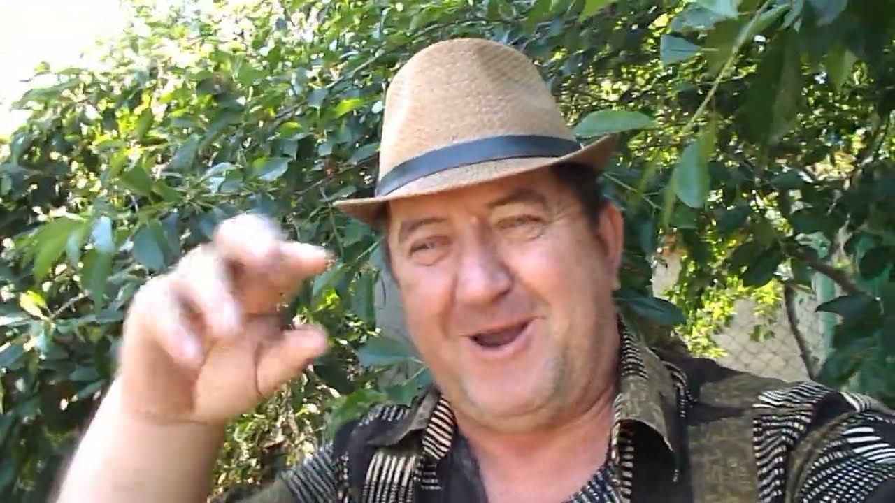 Предстоящая покупка монтировки EQ смотреть онлайн