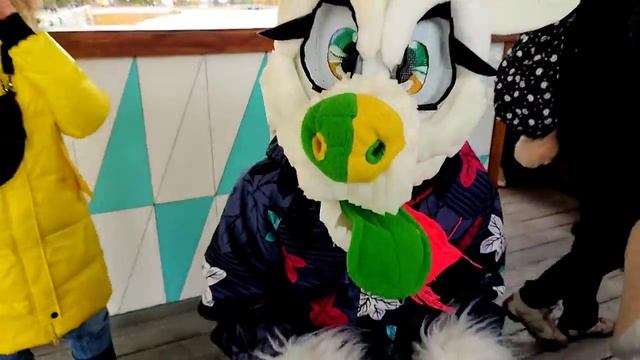 ФУРРИ СХОДКА _ ПУШИСТАЯ FURRY ПРОГУЛКА _ ПОСЛЕДНИЙ ЗАПЛЫВ _ СХОДОК БОЛЬШЕ НЕ БУДЕТ - ЭТО КОНЕЦ...