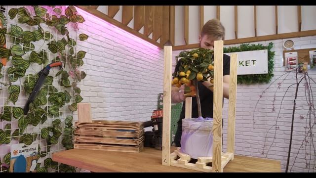 ЯК ЦЕ ЗРОБЛЕНО? | Пакування крупномірів для відправлення поштою | Agro-Market.ua смотреть онлайн