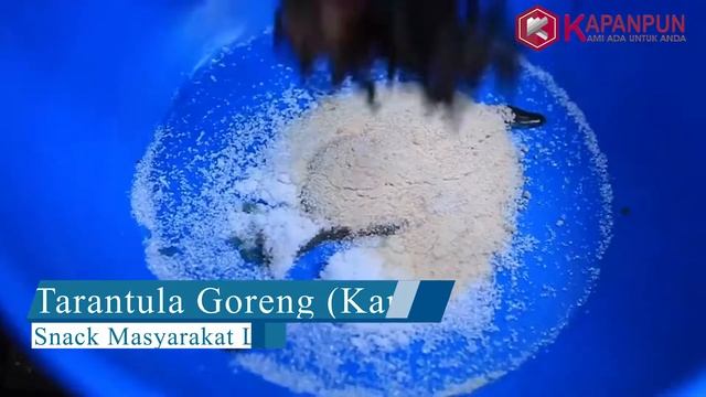 16 - 6 Makanan Menjijikkan di dunia , Salah Satunya dari indonesia lhoo. смотреть онлайн