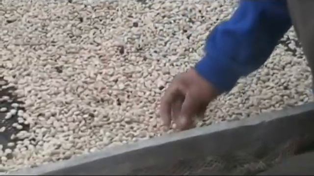 Coffee farm touring in Peru - Dunn Bros Coffee смотреть онлайн