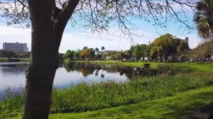 Сборник 6. Музыка Сергея Чекалина