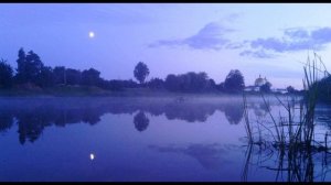 И  Бунин Высоко полный месяц стоит #стихиоприроде #стихиолете #поэтысеребряноговека