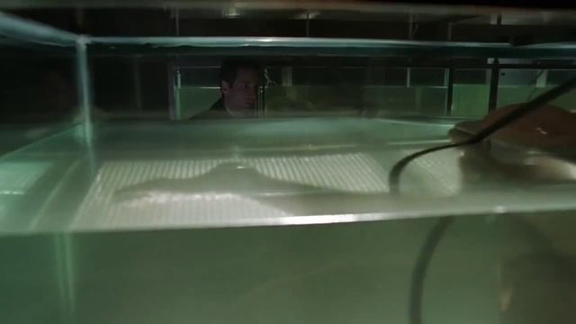 Секретные материалы Перезагрузка 2016 Русский Тизер сериал смотреть онлайн