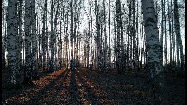 Б Ахмадулина  Апрель #стихиовесне  #поэты20века
