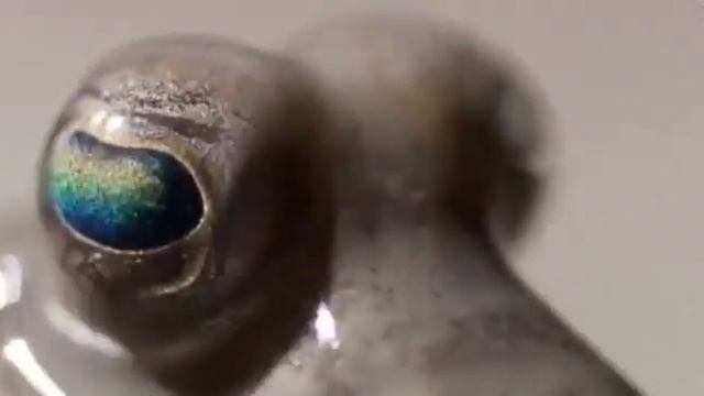 Our Story in 1 Minute Наша история за 1 минуту смотреть онлайн