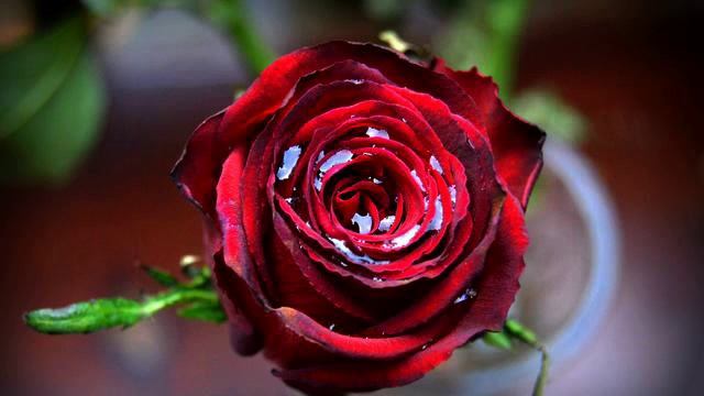 Хорошая русская песня и видео онлайн смотреть онлайн