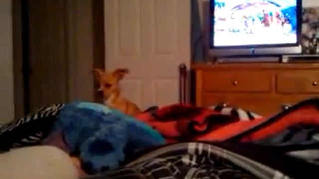 stitch getting fucked lol смотреть онлайн