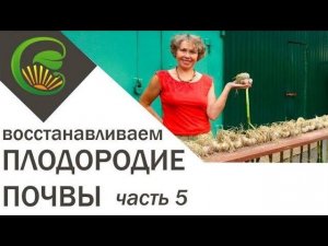 Как я сделала почву плодородной часть 5