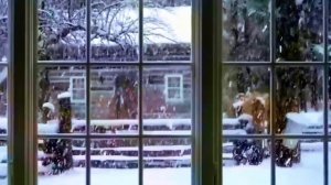 Юрий Визбор "Подари мне февраль..." #визбор #авторскаяпесня