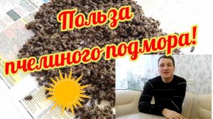 Польза пчелиного подмора! Рецепт настойки из подмора!