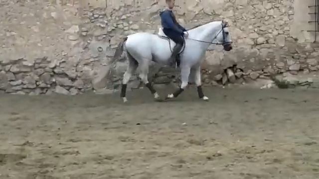 андалуз смотреть онлайн