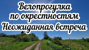 Велопрогулка по окрестностям  Неожиданная встреча