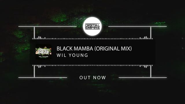 Wil Young - Black Mamba (Original Mix) смотреть онлайн