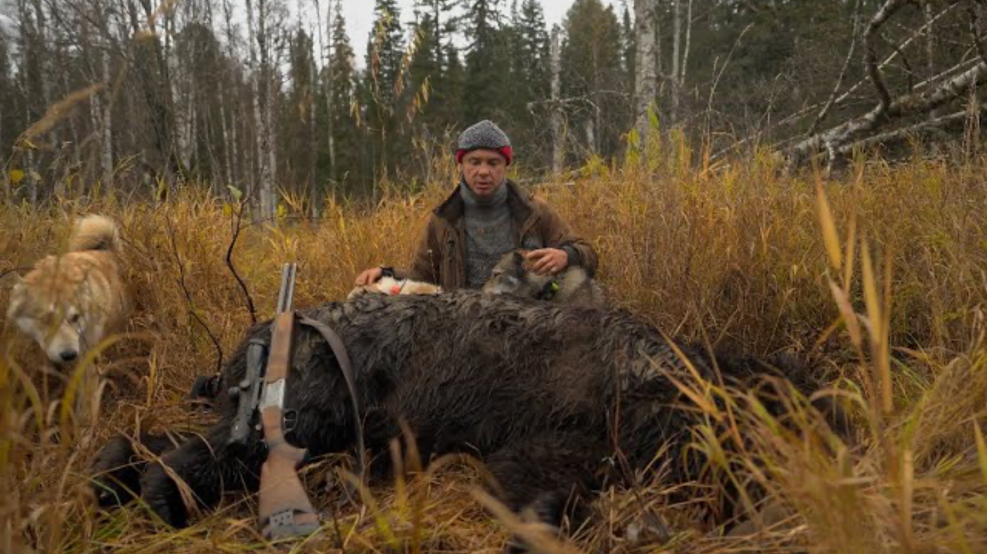 Уехали на осень в Тайгу, потеряли Дара, ДОБЫЛИ трофейн