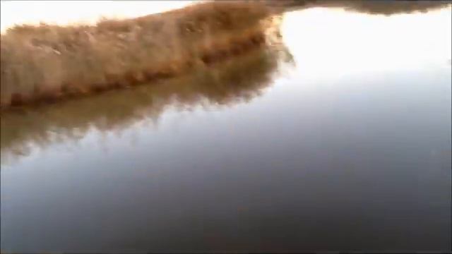 Манок смотреть онлайн