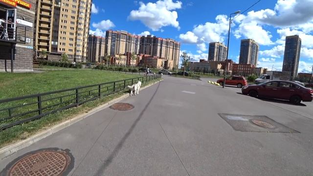 ВДУЛ ХАСКИ. хаски Капелла и ветер смотреть онлайн