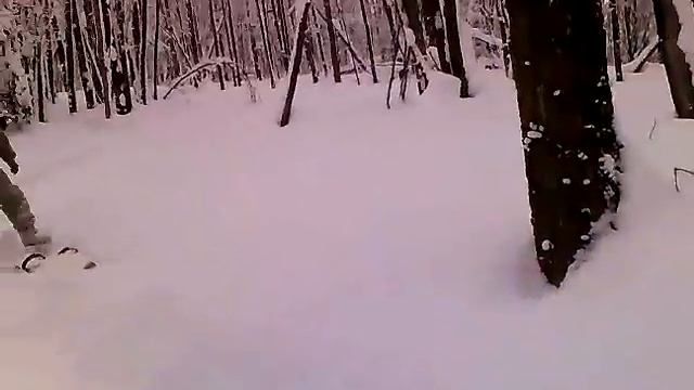 Зимний лес смотреть онлайн