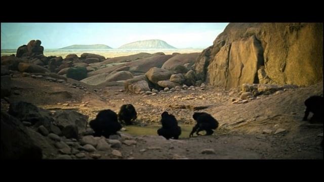 Мысля от Гастера №1 Зачем и почему мы движемся вперед? смотреть онлайн