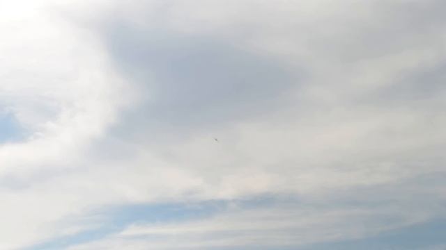 DSC 1409 смотреть онлайн