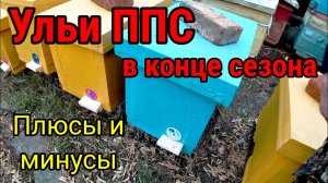 Ульи ППС в конце сезона. Плюсы и минусы. Пчелы в ноябре