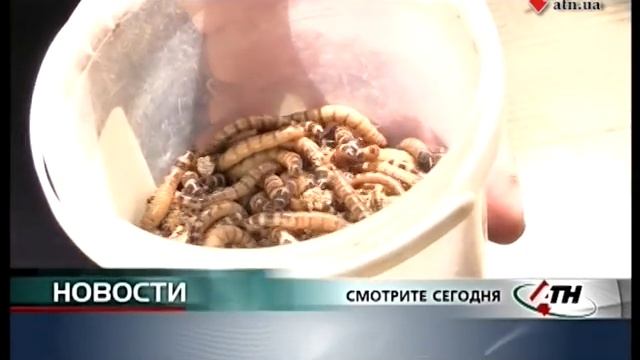Новости АТН - 24.05.2019 смотреть онлайн