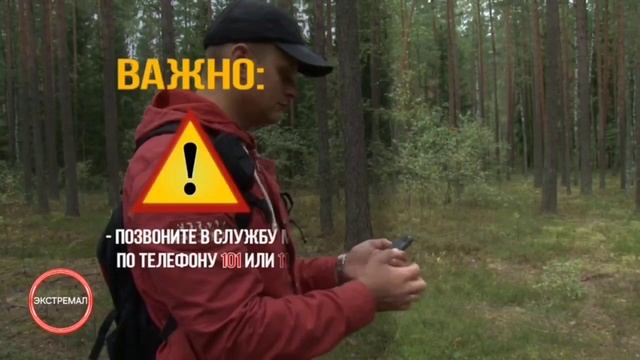 Что делать если заблудился в лесу смотреть онлайн