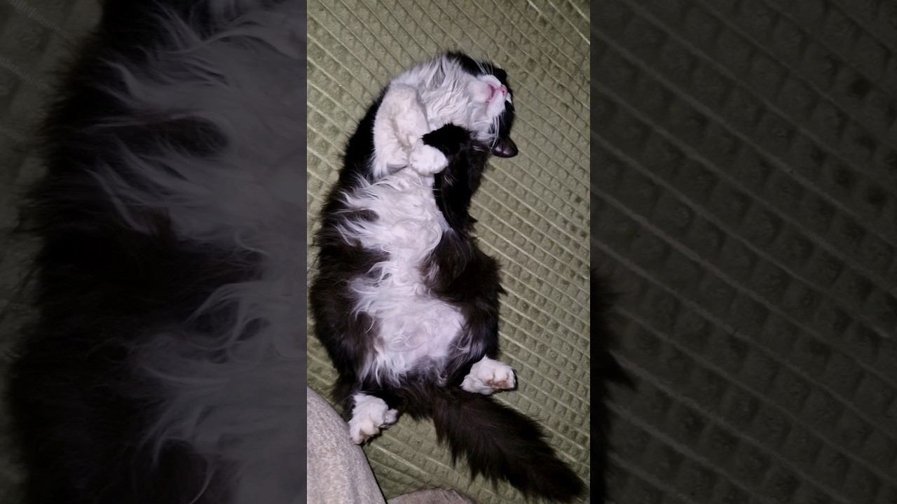 Васёк на чиле⬛ смотреть онлайн