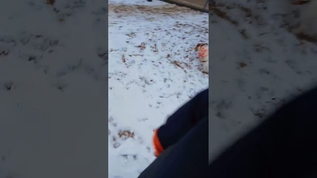 10-02-2025 смотреть онлайн