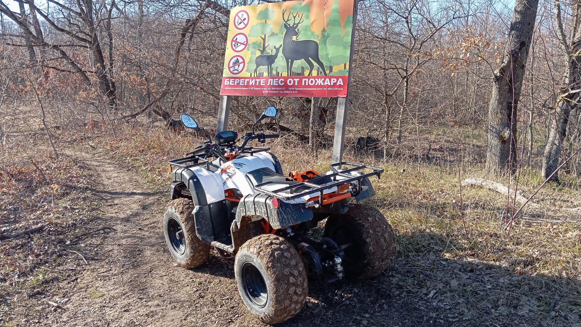 Обзор квадроцикла kayo AU150 смотреть онлайн